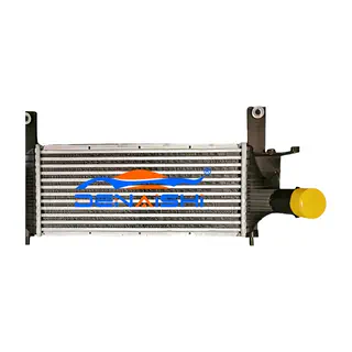 Ladeluftkühler für Pathfinder R51 05